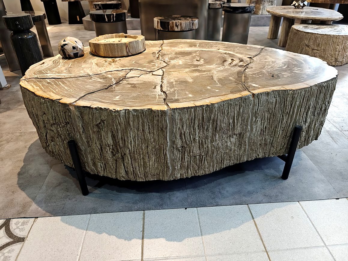 Petrified Wood Slab Coffee Table