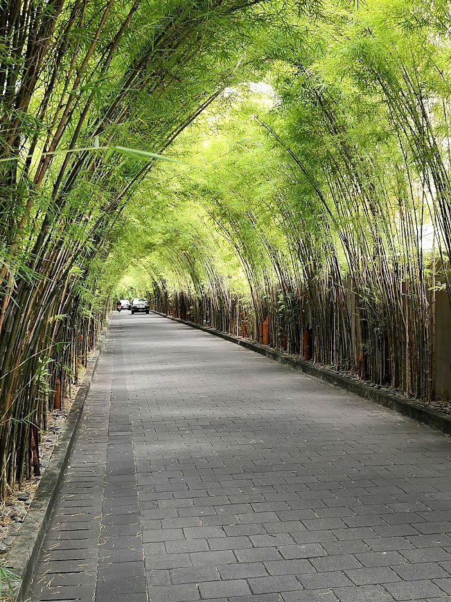 Bamboo Arch Promenade